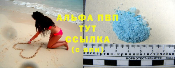 спиды Новозыбков