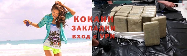 спиды Новозыбков