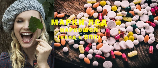 ECSTASY Новодвинск