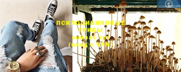 спиды Новозыбков