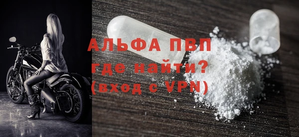 спиды Новозыбков