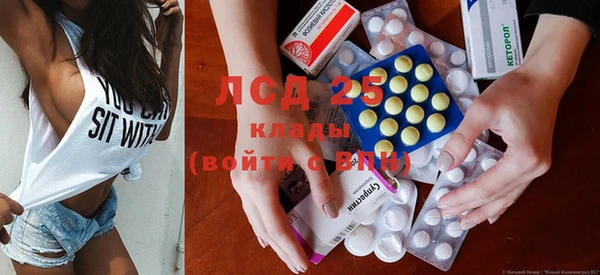 спиды Новозыбков