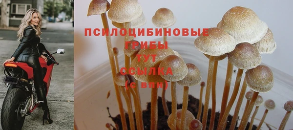 винт Новокубанск