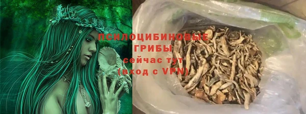 спиды Новозыбков