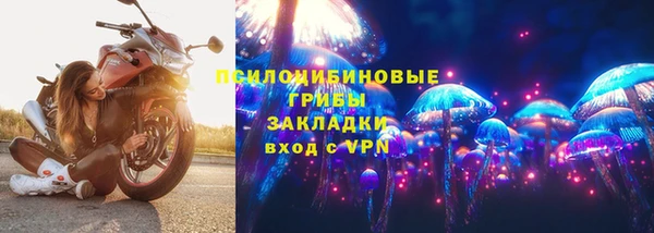 винт Новокубанск
